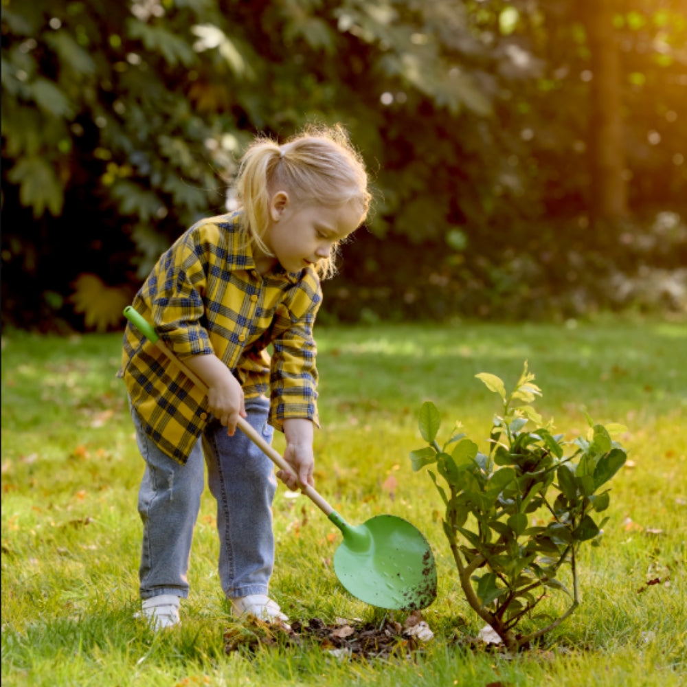 PALA DE JARDÍN PUNTIAGUDA