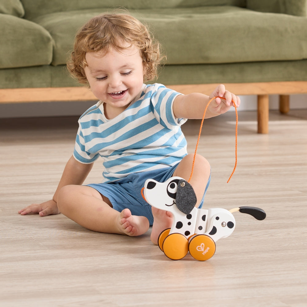 PERRO DALMATA DE ARRASTRE