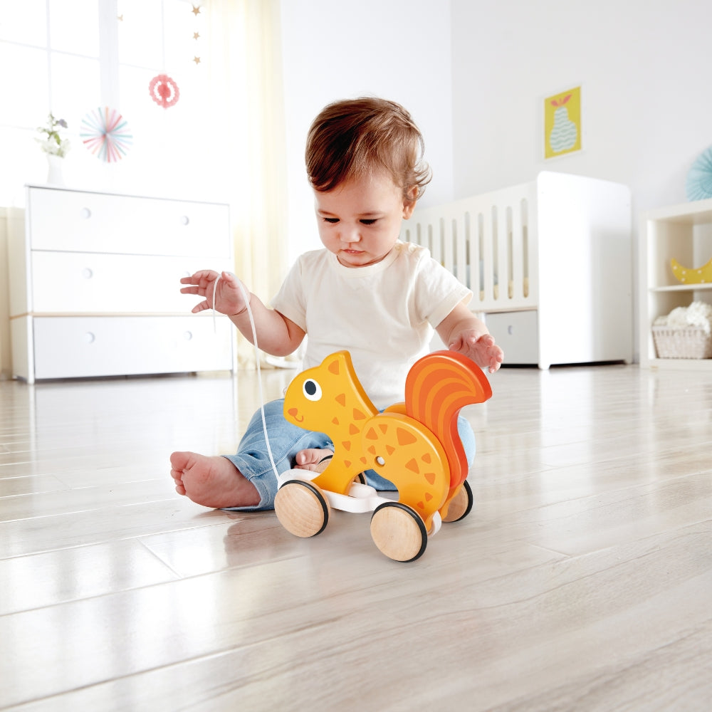 Ardilla para Empujar y Tirar