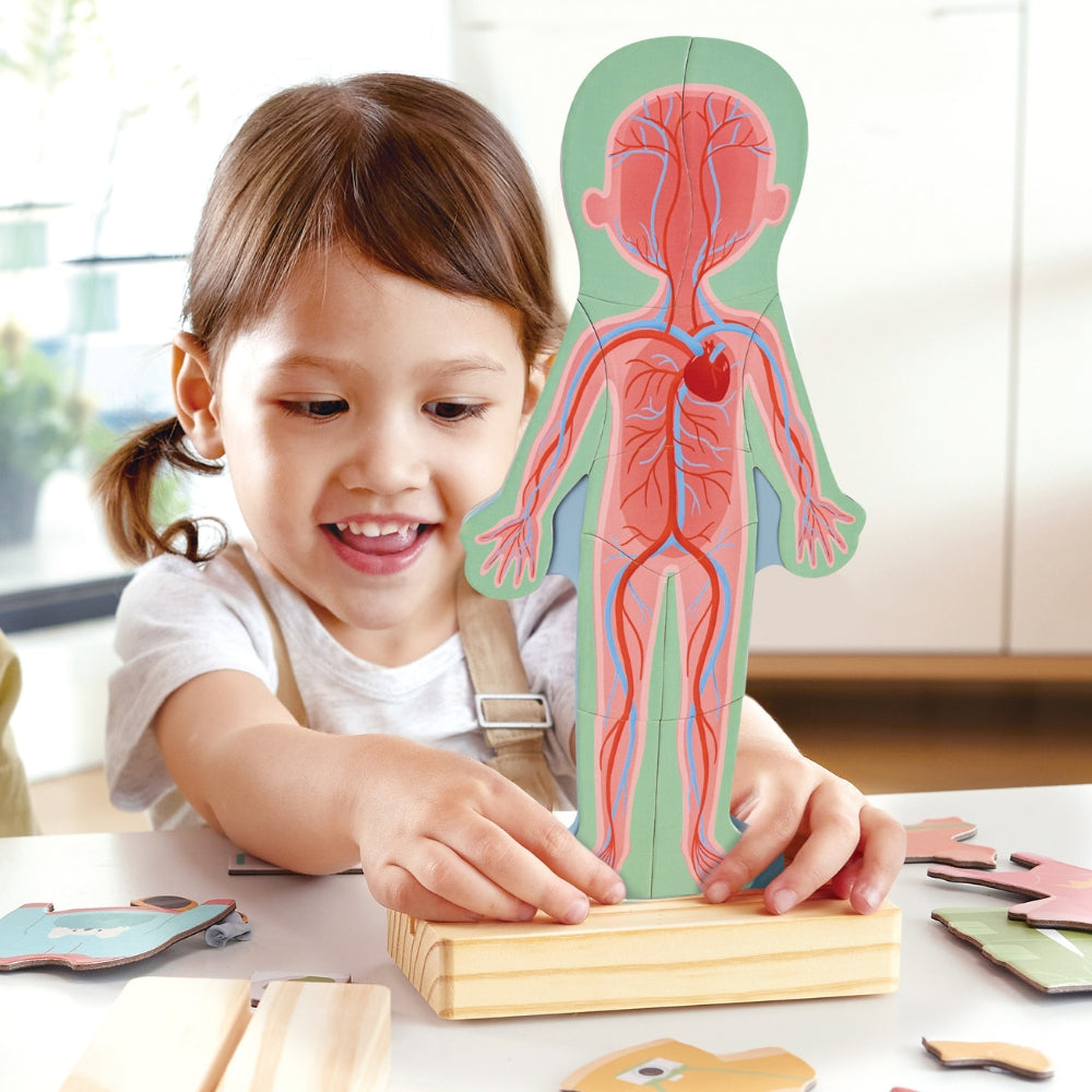 ROMPECABEZAS MAGNÉTICO CUERPO HUMANO