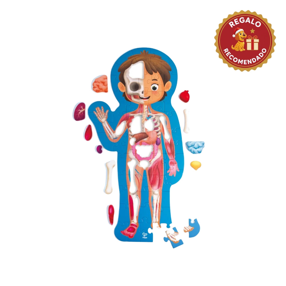 Rompecabezas del Cuerpo Humano