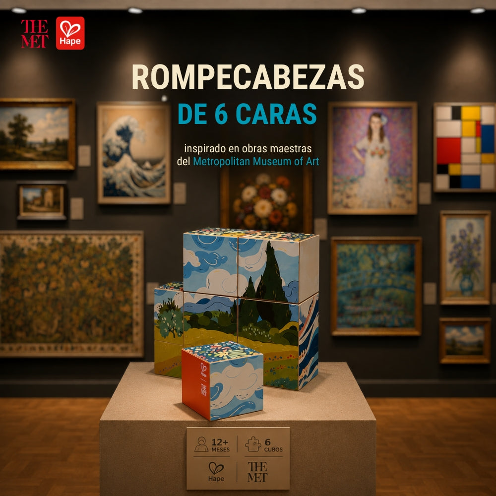 Cubos Rompecabezas de Arte 6 en 1