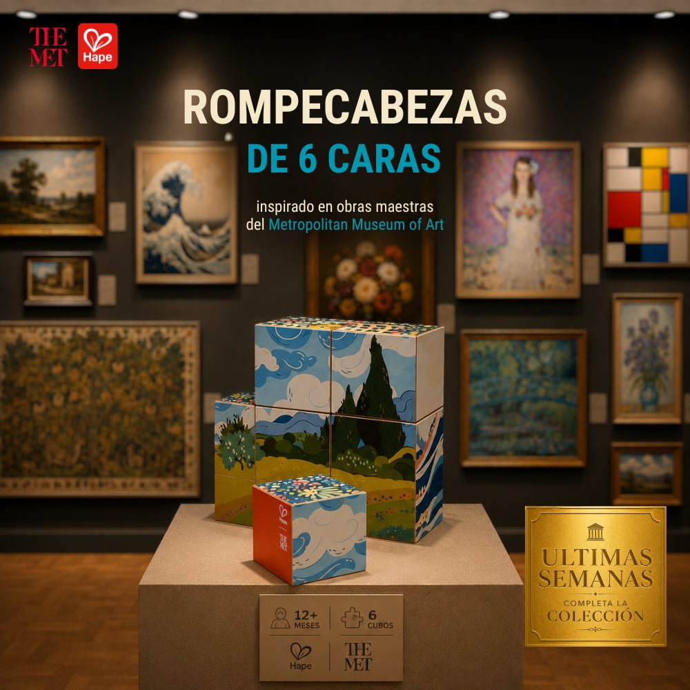 Cubos Rompecabezas de Arte 6 en 1