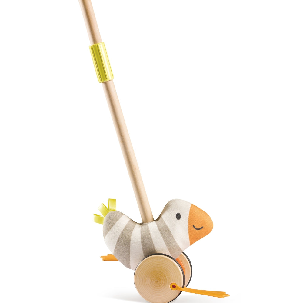 PAJARITO ELLI DE EMPUJE