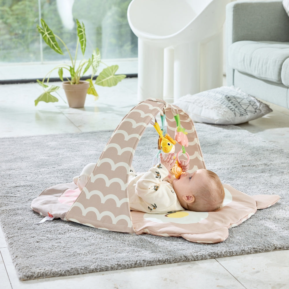 GIMNASIO DE BÚHO OSCAR