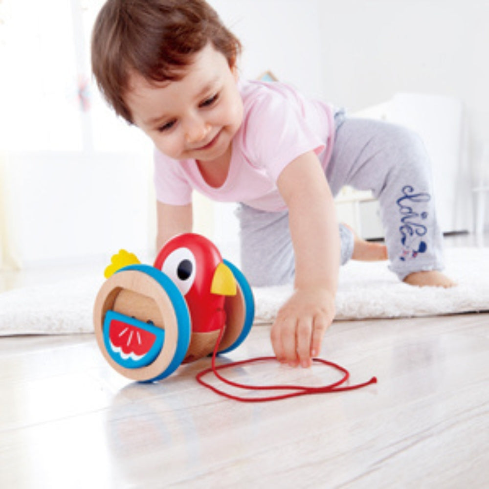 PAJARITO DE ARRASTRE