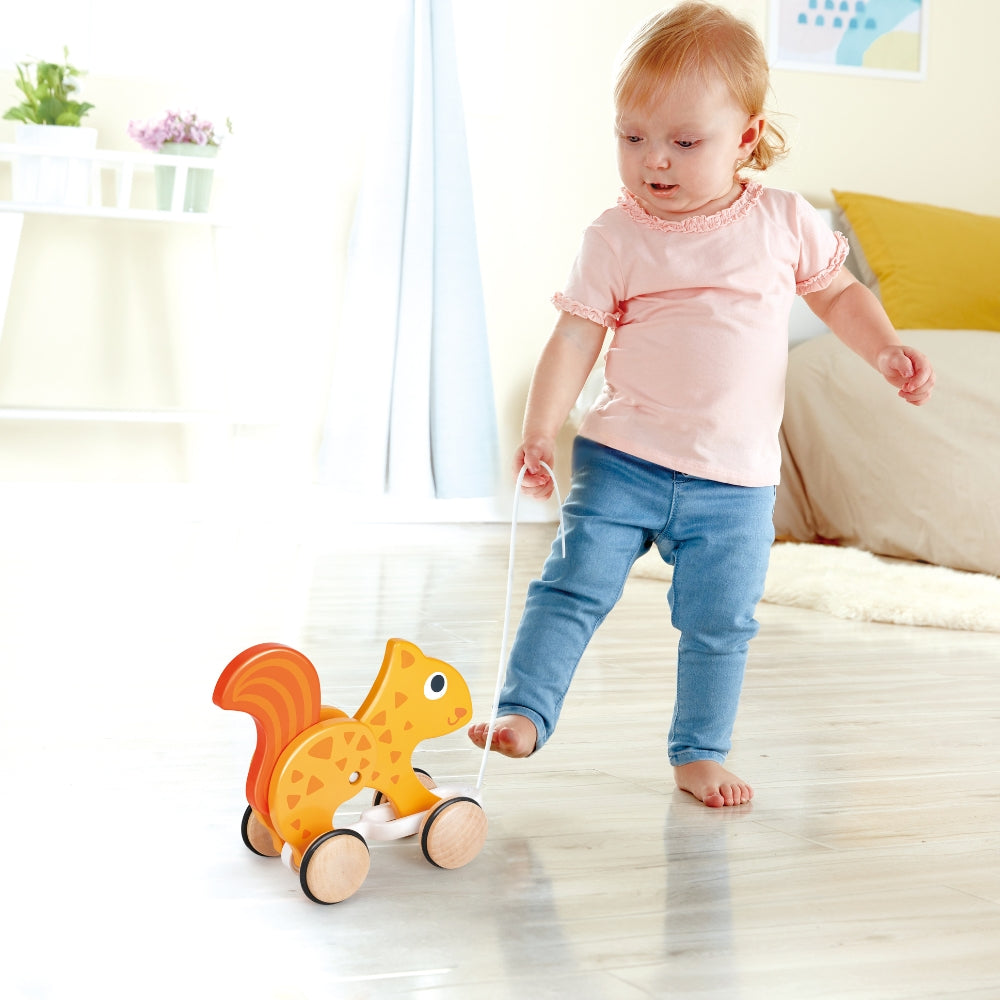 Ardilla para Empujar y Tirar