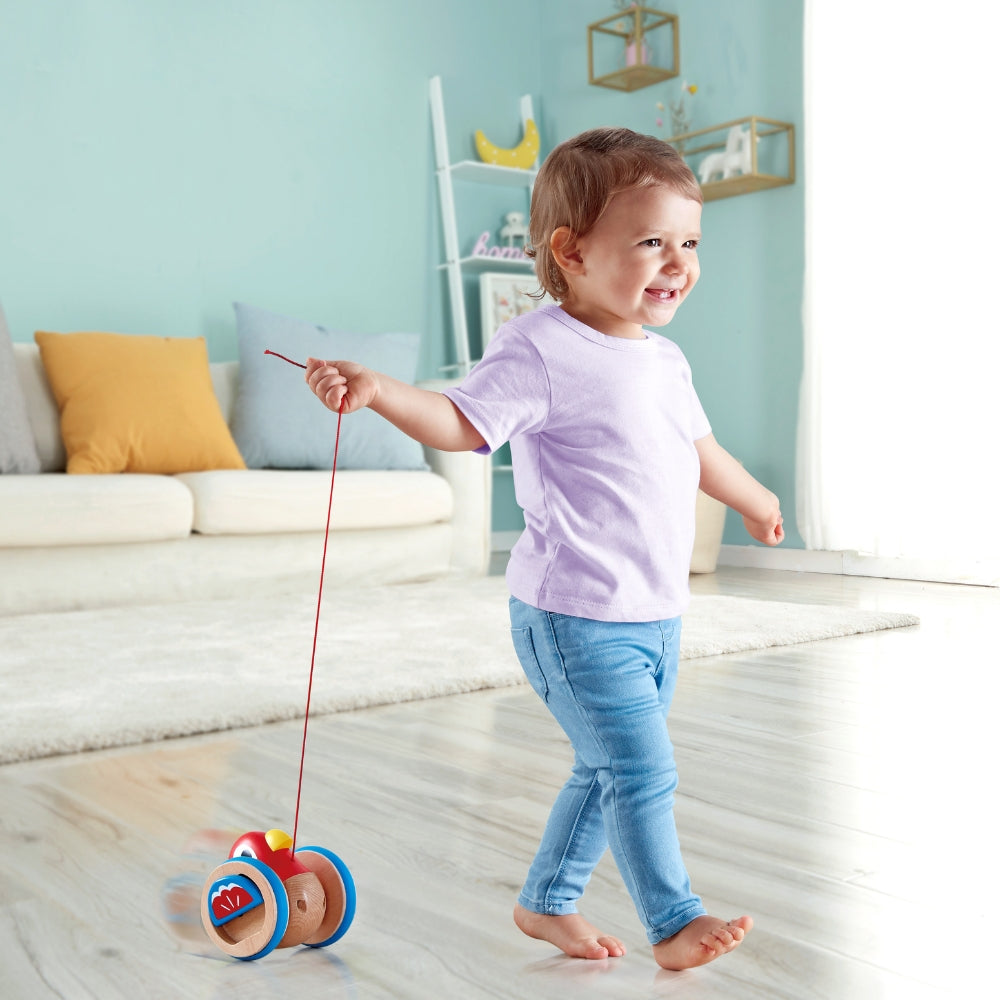 PAJARITO DE ARRASTRE