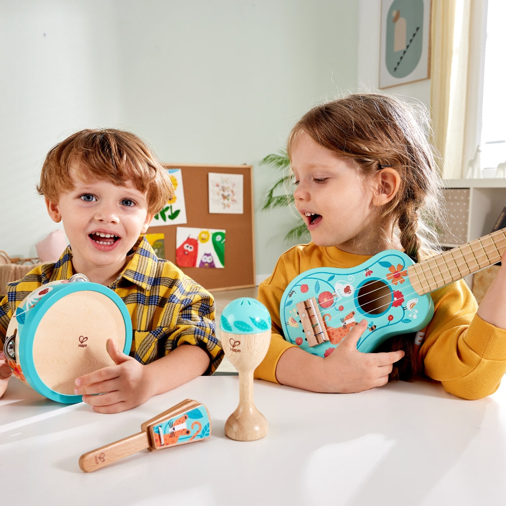 SET DE INSTRUMENTOS MUSICALES