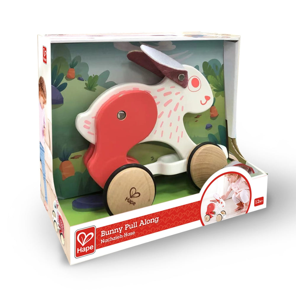 CONEJITO PARA EMPUJAR Y TIRAR