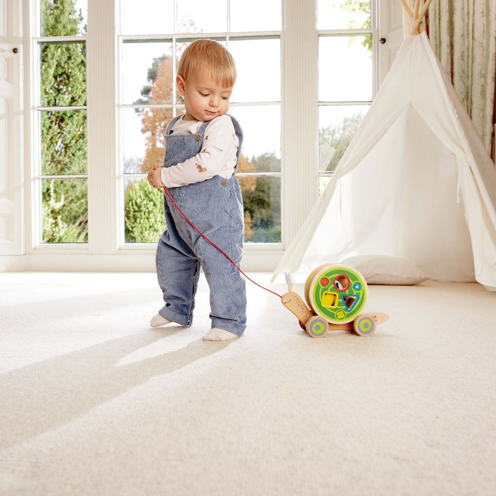 CARACOL DE ARRASTRE CON FORMAS