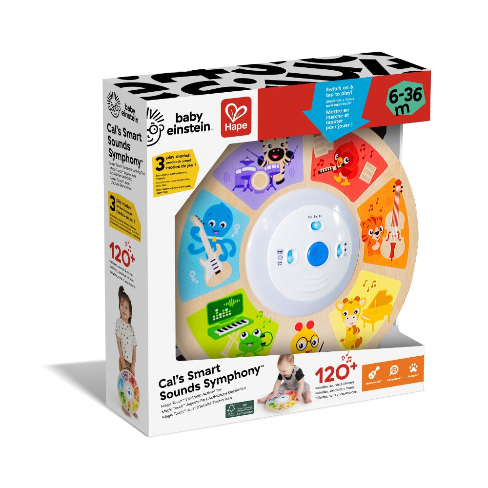 ORQUESTA SINFÓNICA MUSICAL TÁCTIL